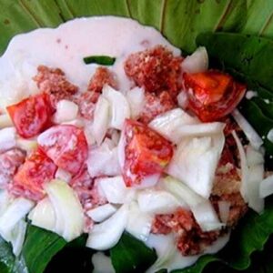 PALU-SAMI