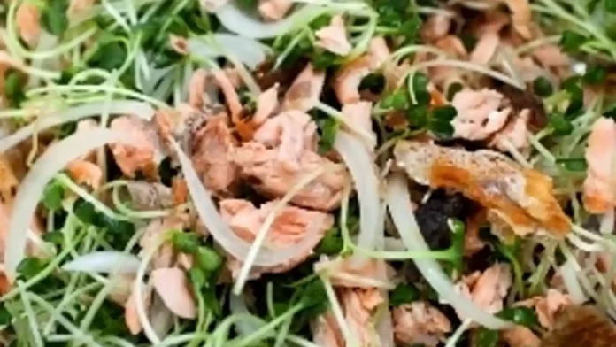 Salmon-Salad
