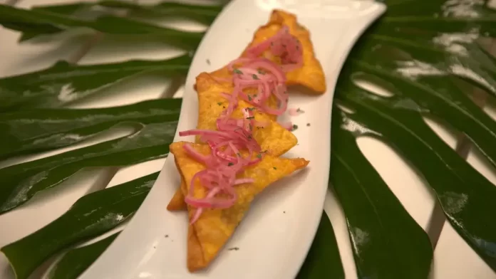 Fried-Won-Ton-by-Kuana-Torres