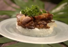Teriyaki-Smoke-Meat-by-Jerry-Correa