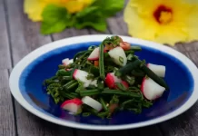 Warabi Salad by Jennifer Zelko-Schlueter Warabi-Salad-by-Jennifer-Zelko-Schlueter